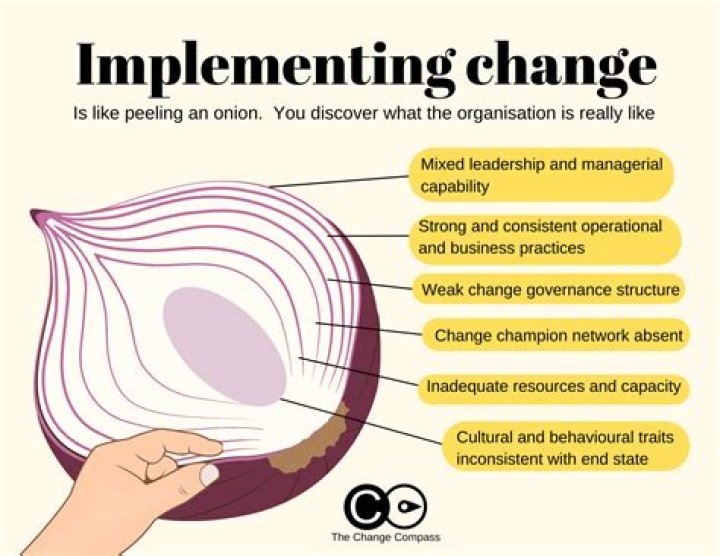 Peeling back "The Onion" ·