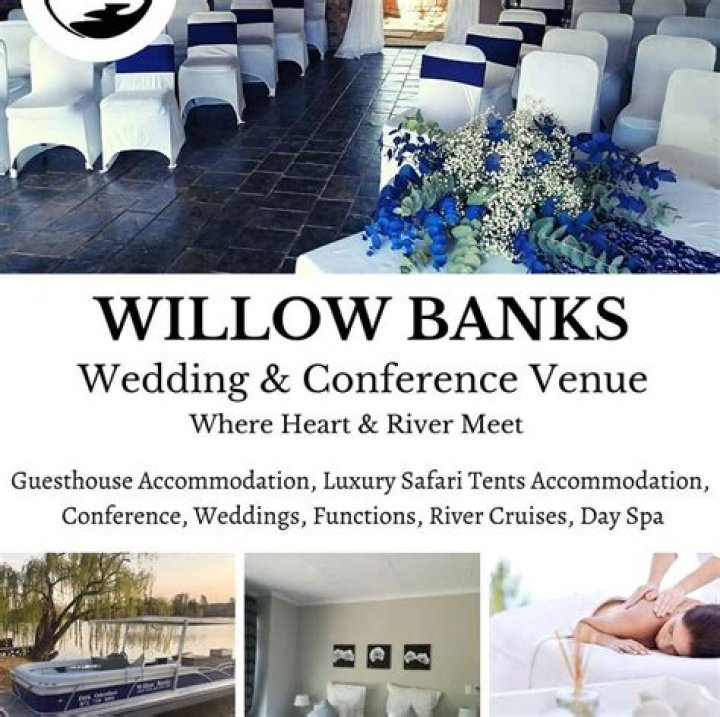 Willow Banks Bio (Wiki) | BlinkVlog